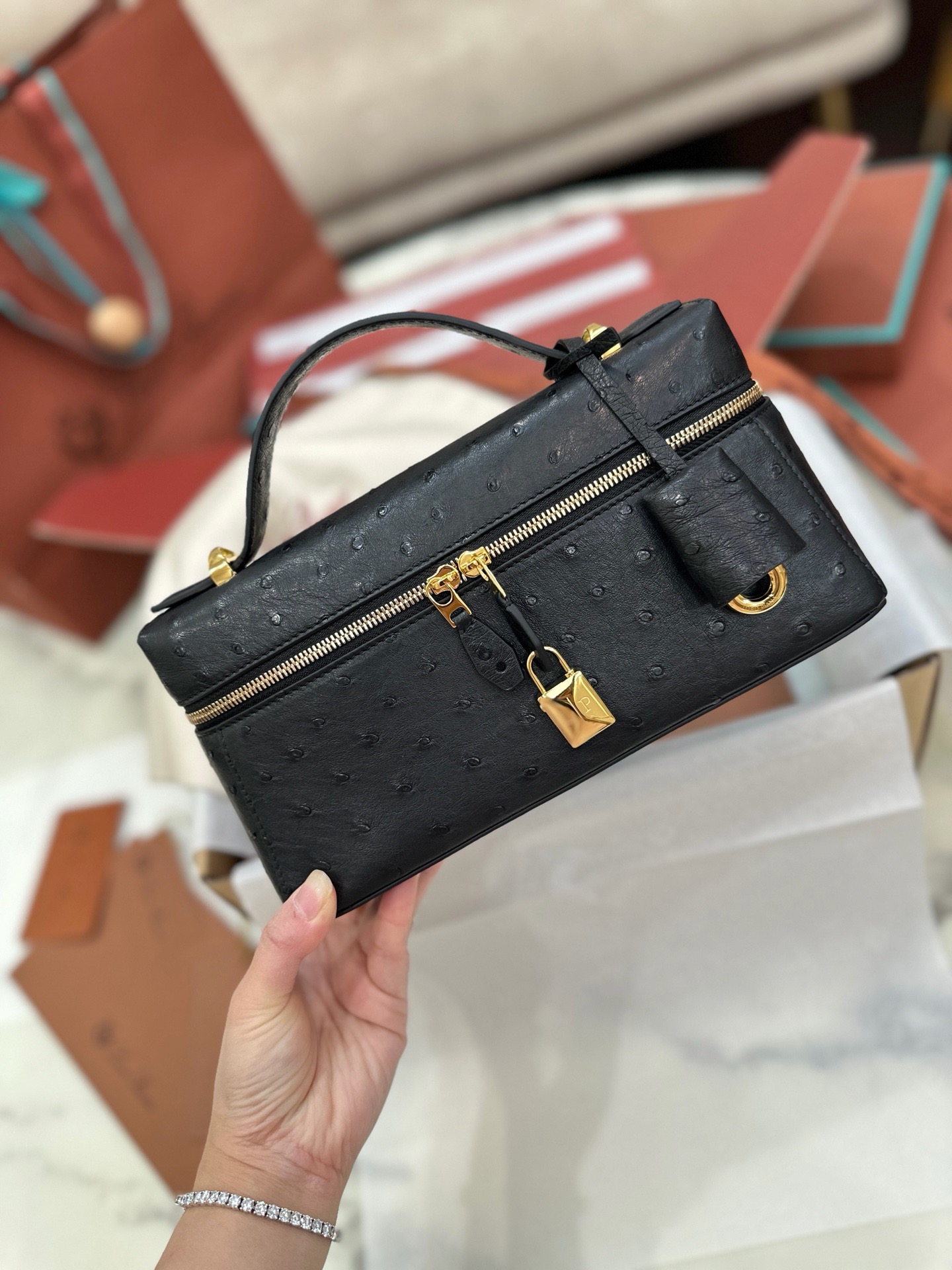 Loro Piana Extra Pocket L19 black ostrich leather box bag