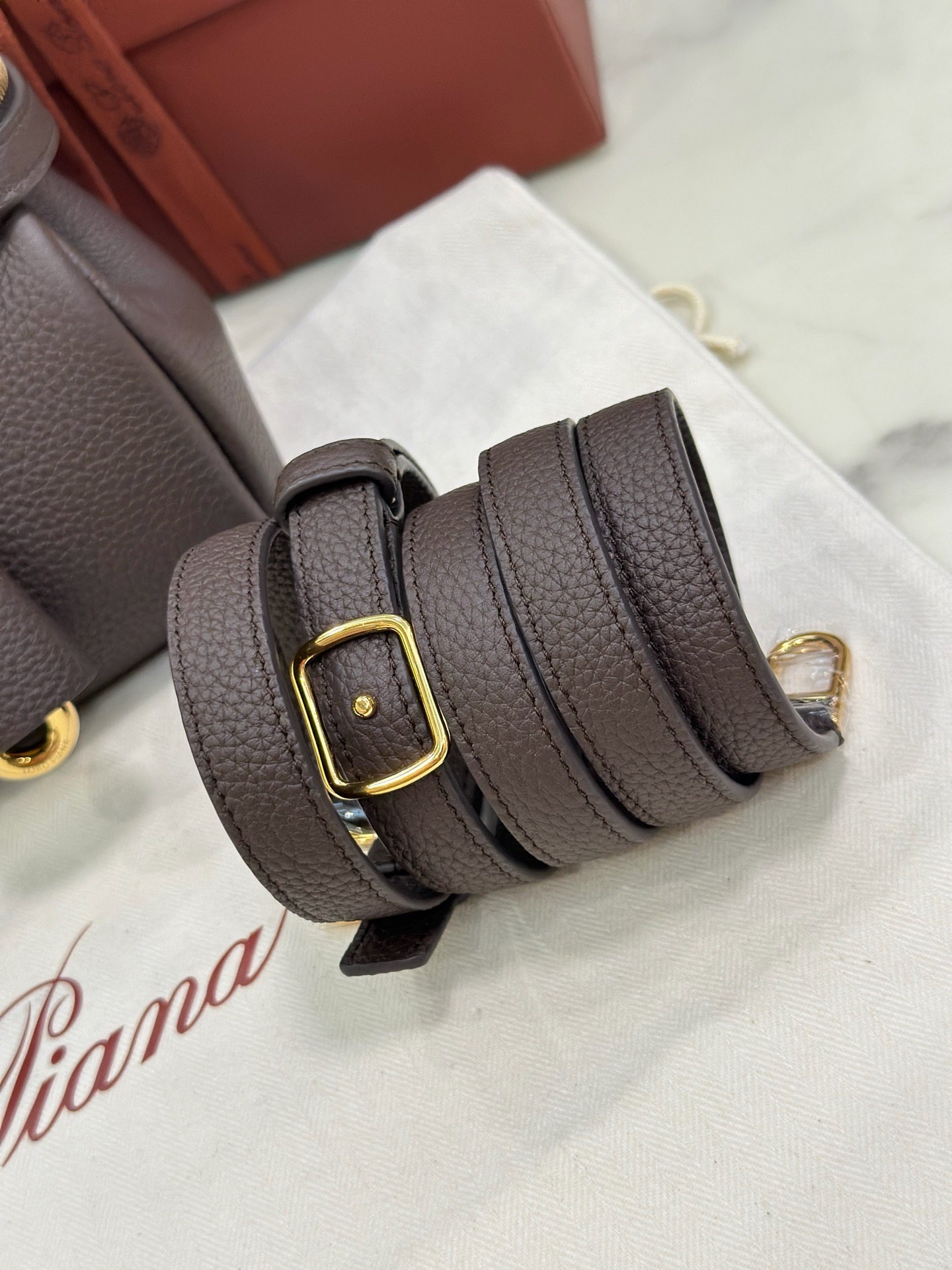 Loro Piana Extra Softy Bag L29 dark brown cowhide leather handbag