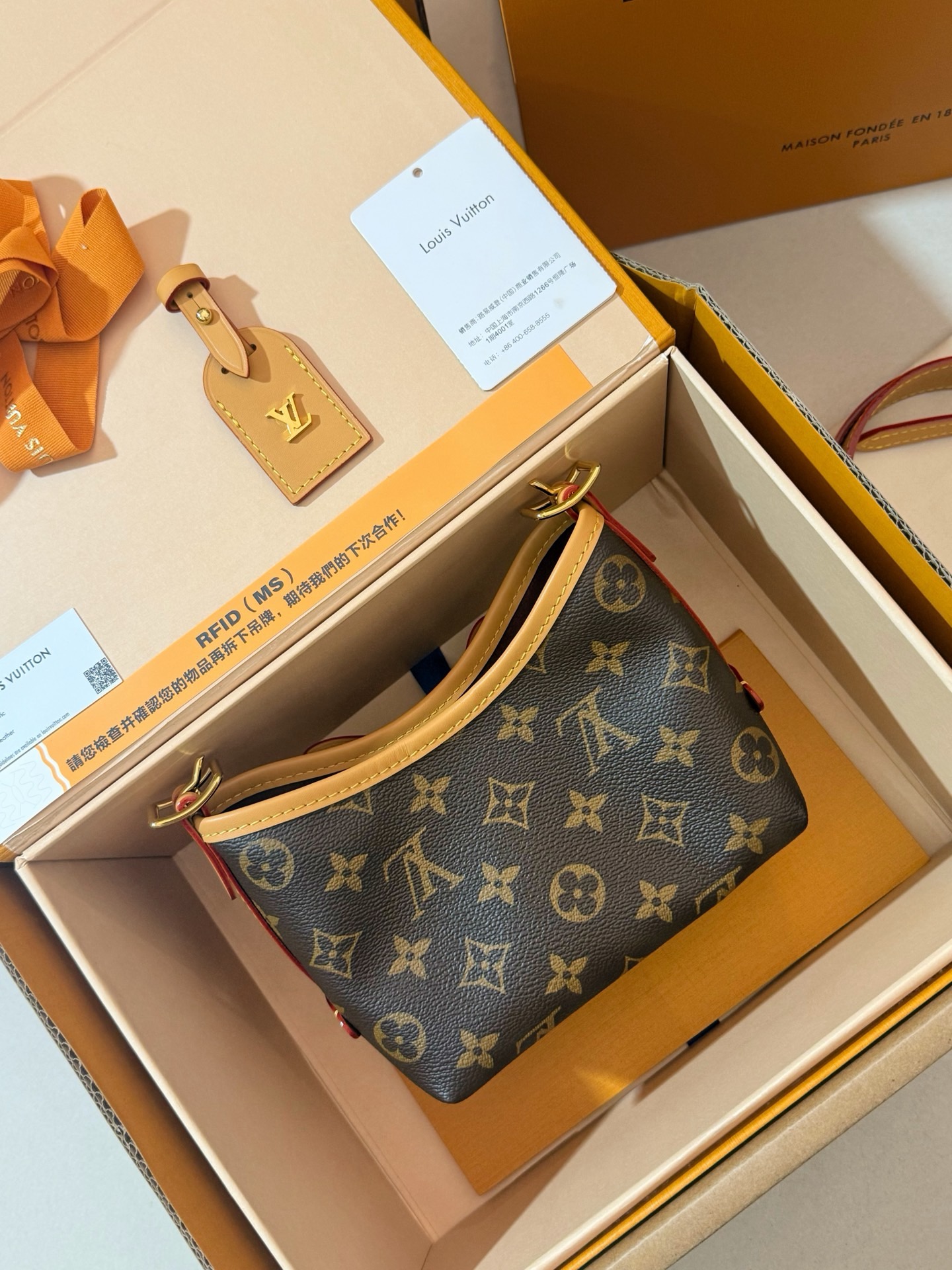 Louis Vuitton NANO CARRYALL M2A711 monogram canvas crossbody bag